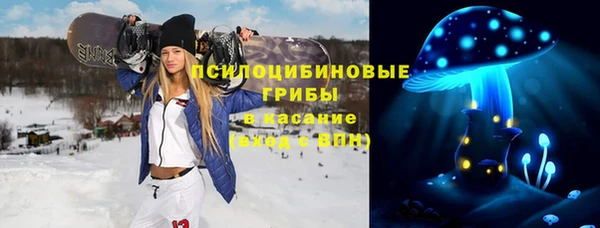стаф Беломорск