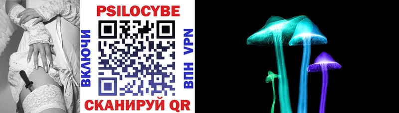 mega маркетплейс  Большой Камень  Псилоцибиновые грибы Cubensis 